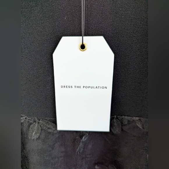 NWT Dress The Population Darleen V-Neck Embroidered Mesh Cocktail Dress Size M - Picture 4 of 11